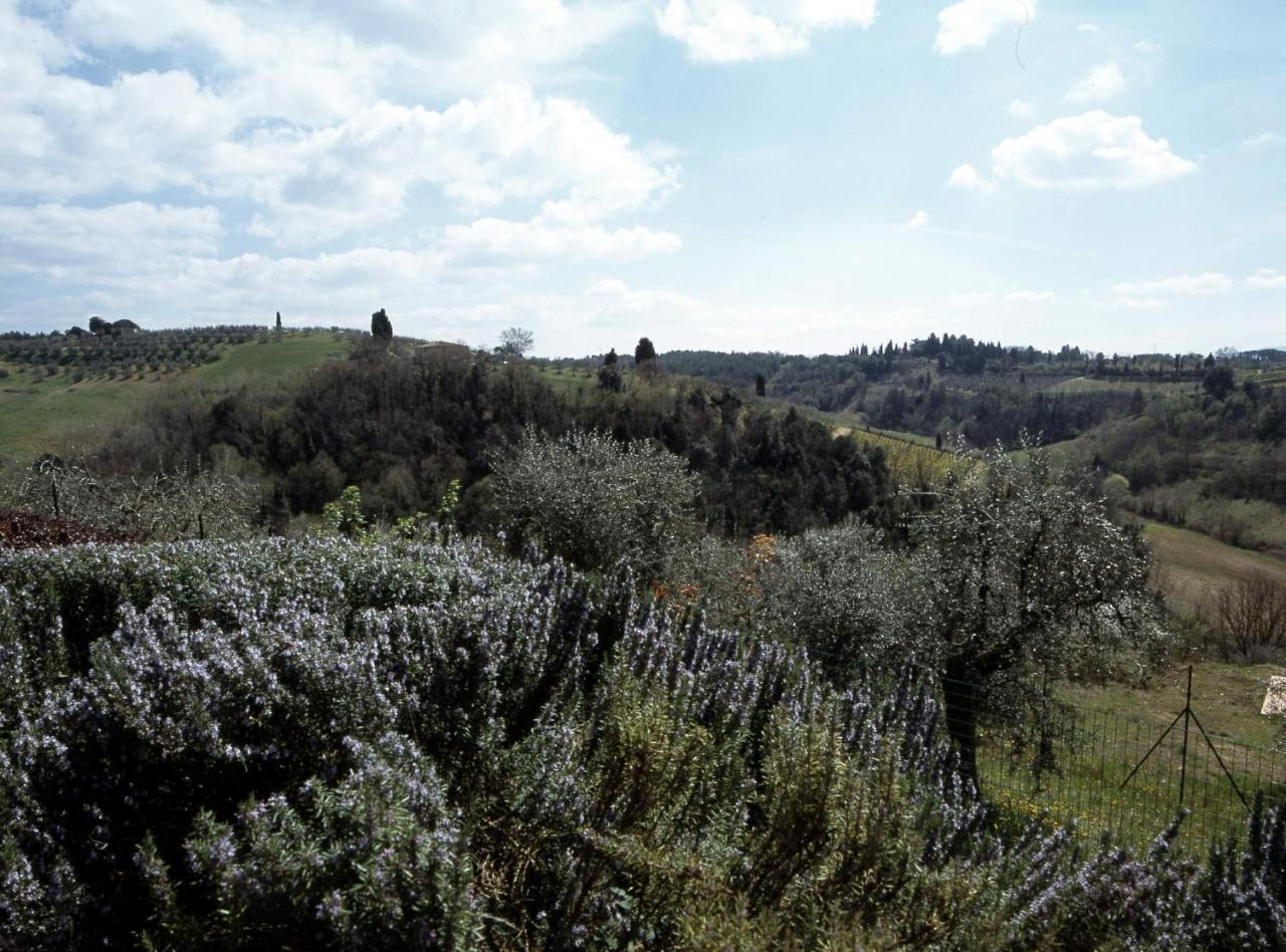 Podere Oliveta Poggibonsi Exterior foto